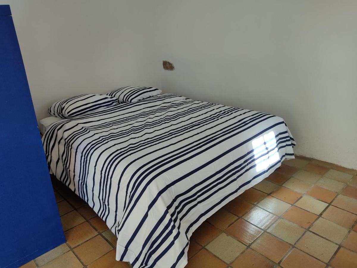 Petite Maison Du Manoir De Keryvoas Kerlouan エクステリア 写真